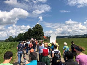 Demo V-Partei