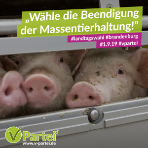 Wahlkampf Brandenburg