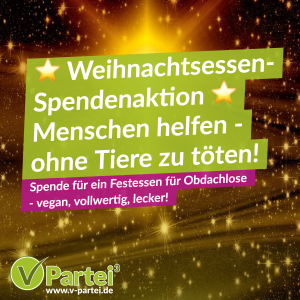 Weihnachtsessen Spende vegan 