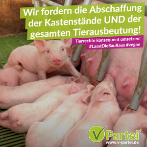kastenstaende-lasst-die-sau-raus