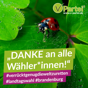 landtagswahl brandenburg