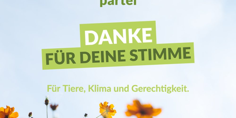 Vielen Dank!