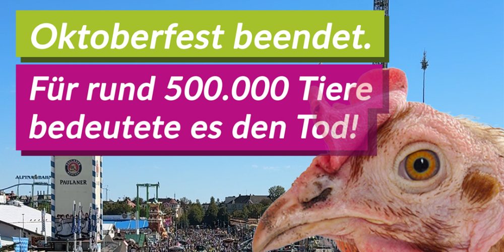 Oktoberfest beendet – für rund 500.000 Tiere bedeutete es den Tod