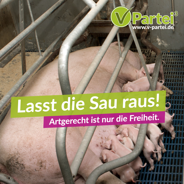 Lasst die Sau raus!