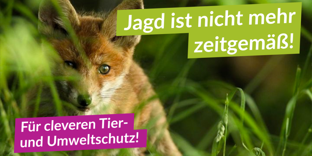 Sinnlose Jagd