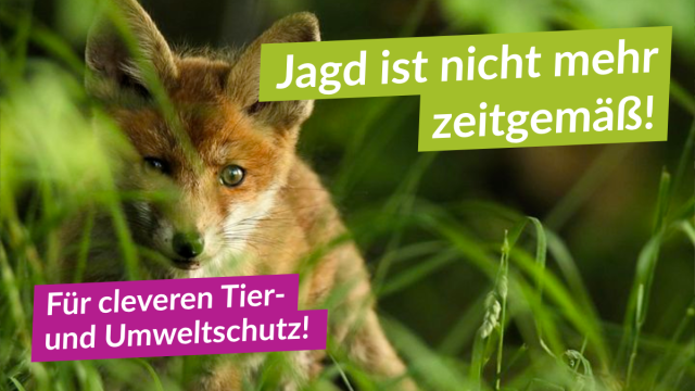 Sinnlose Jagd