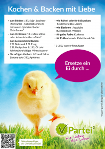 ei-ersatz-flyer