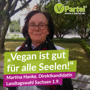 Martina Hanke Sachsen Landtagswahl