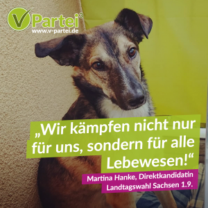 Martina Hanke Sachsen Landtagswahl